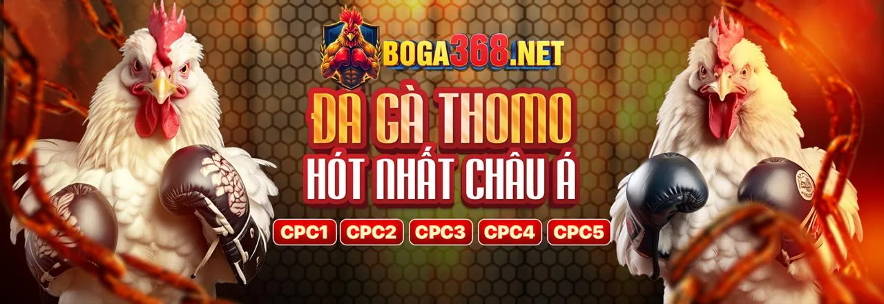 Hình ảnh nền tảng cá cược trực tuyến an toàn Benvip